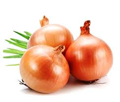 Gezen Mercimek Köftesi